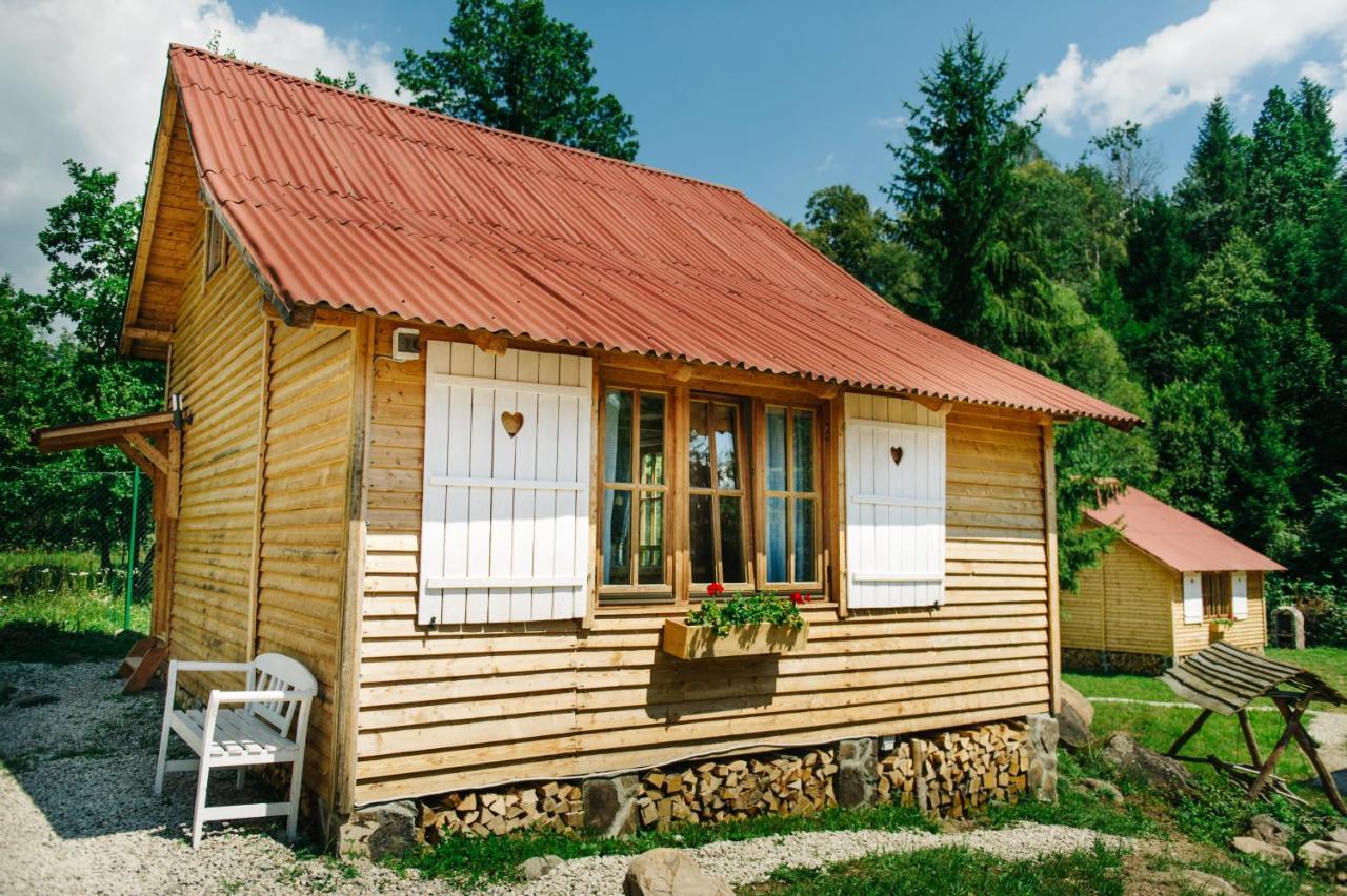 Homorod Lodge Băile Homorod 外观 照片